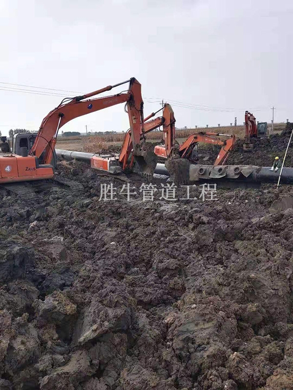 好色先生TV污下载影響交通嗎